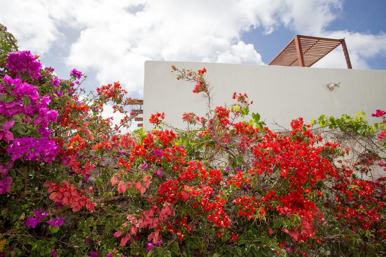 Bonaire Fun Apartments Exterior photo